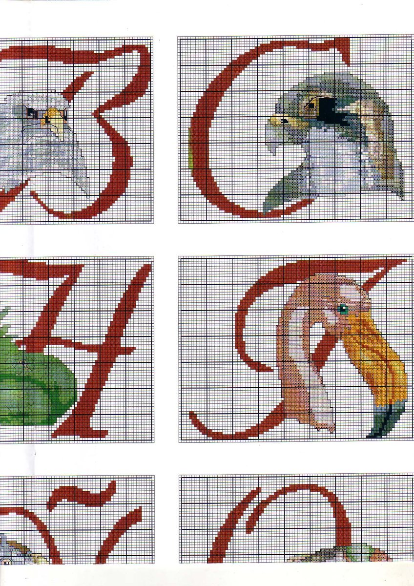 Alphabet with birds and exotic animals (2)