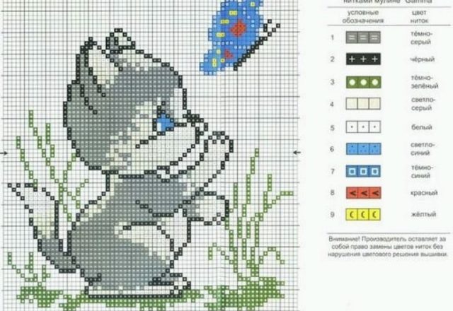 Animals a kitten with a butterfly