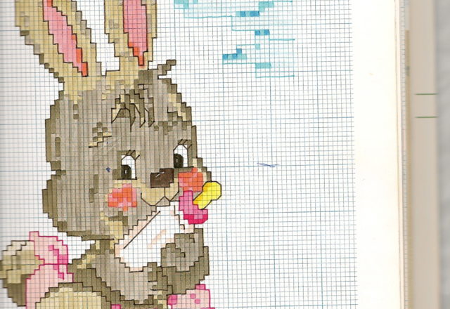 Animals a rabbit with a pacifier