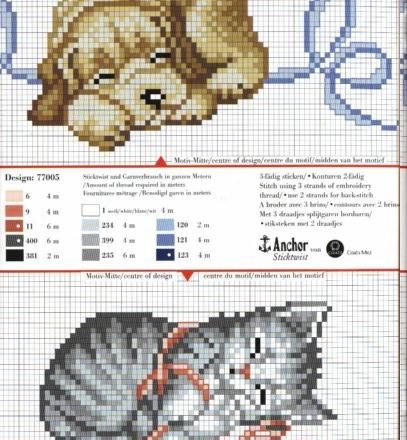 Animals cat dog sleeping