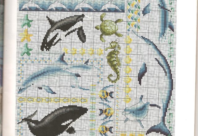 Animals dolphins seahorse