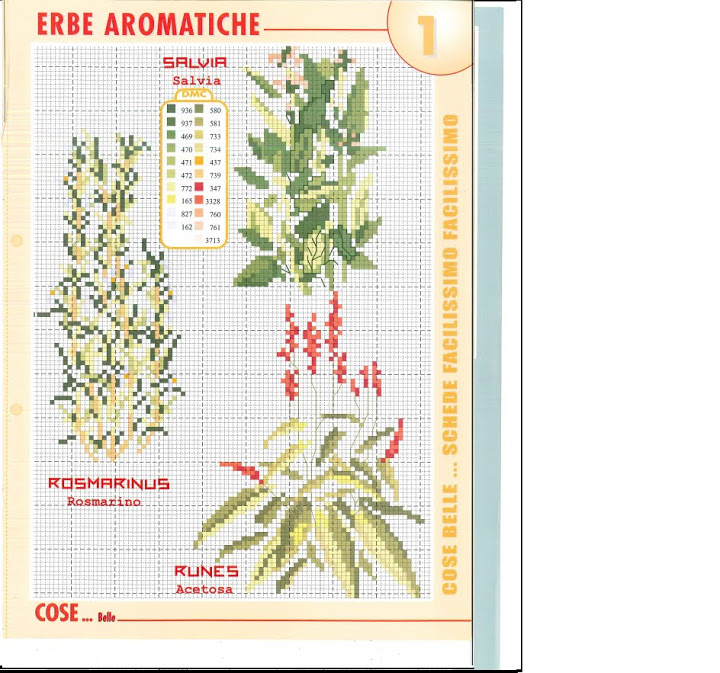Aromatic herbs (1)