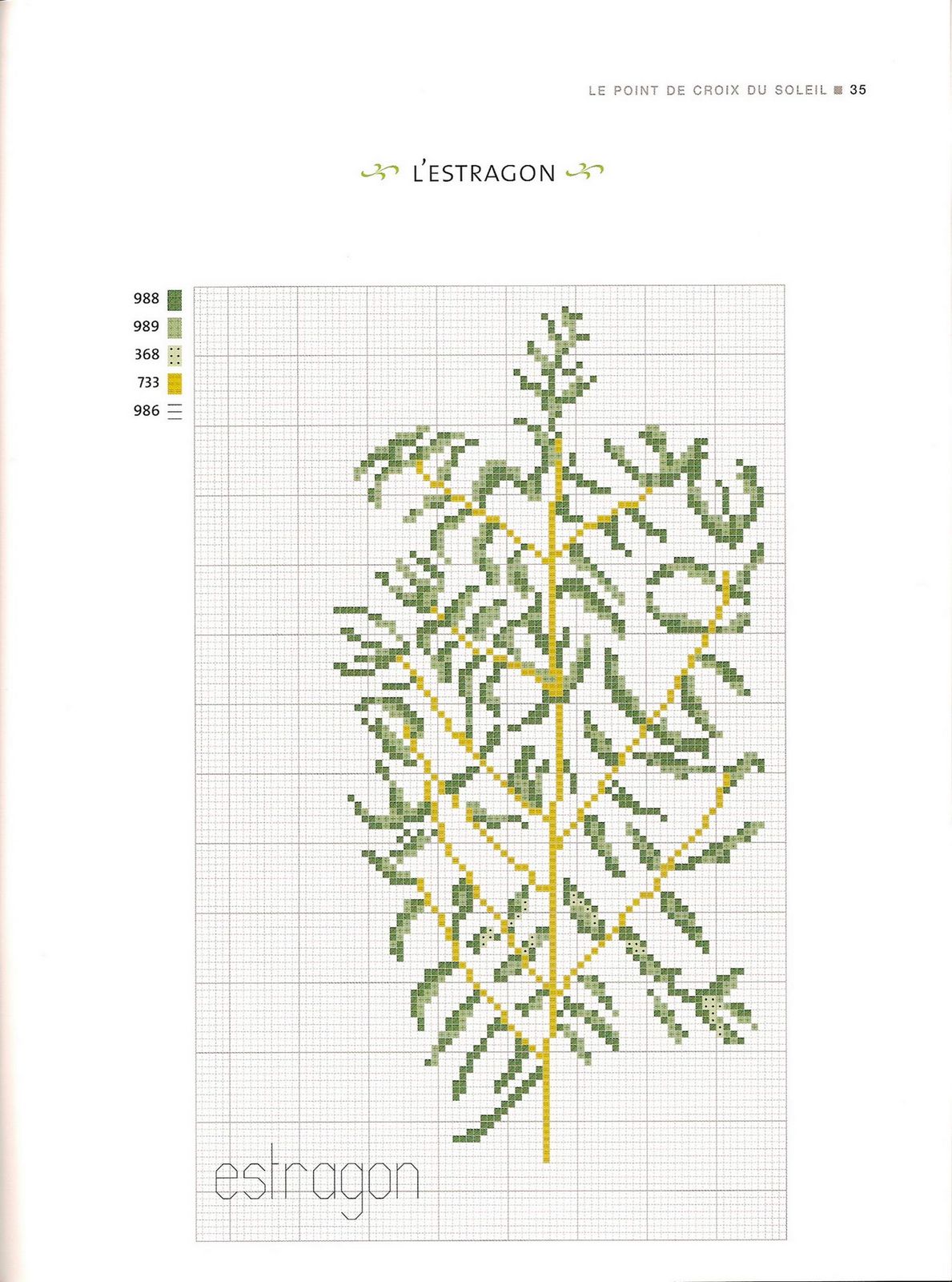 Aromatic herbs cross stitch pattern (3)