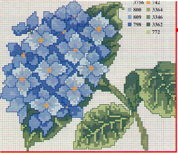 Blue hydrangea with leaves cross stitch pattern