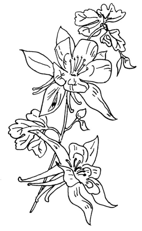 Branch of flowers free hand embroidery design