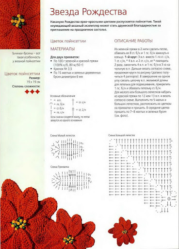 Crochet poinsettia potholder (1)
