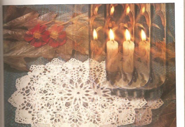 Crochet small fans doily (1)