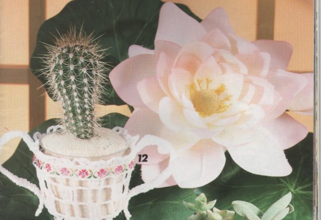 Crochet vase succulents cover crochet favors (1)