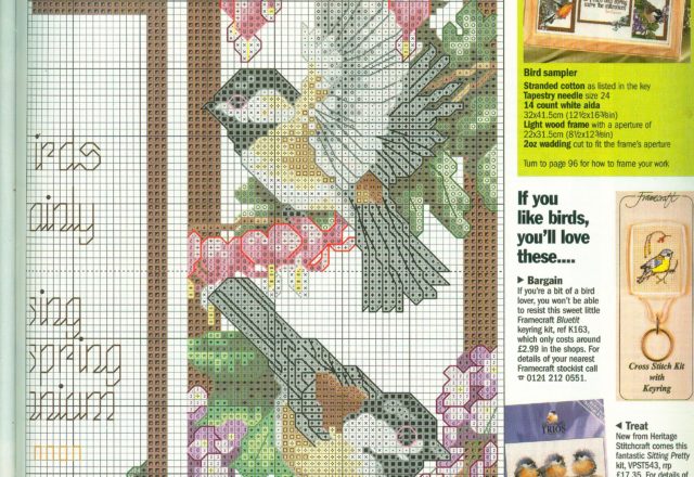 Cross stitch sampler with birds (3)