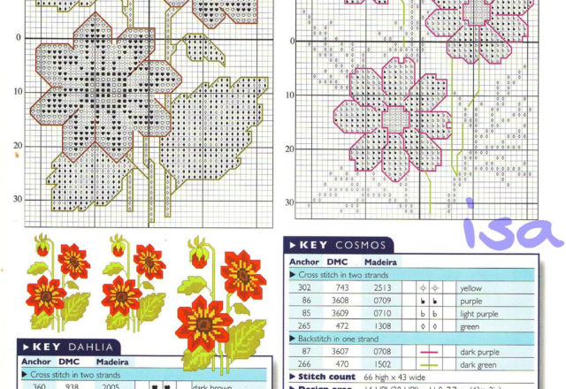 Dahlia and Cosmos flowers cross stitch pattern