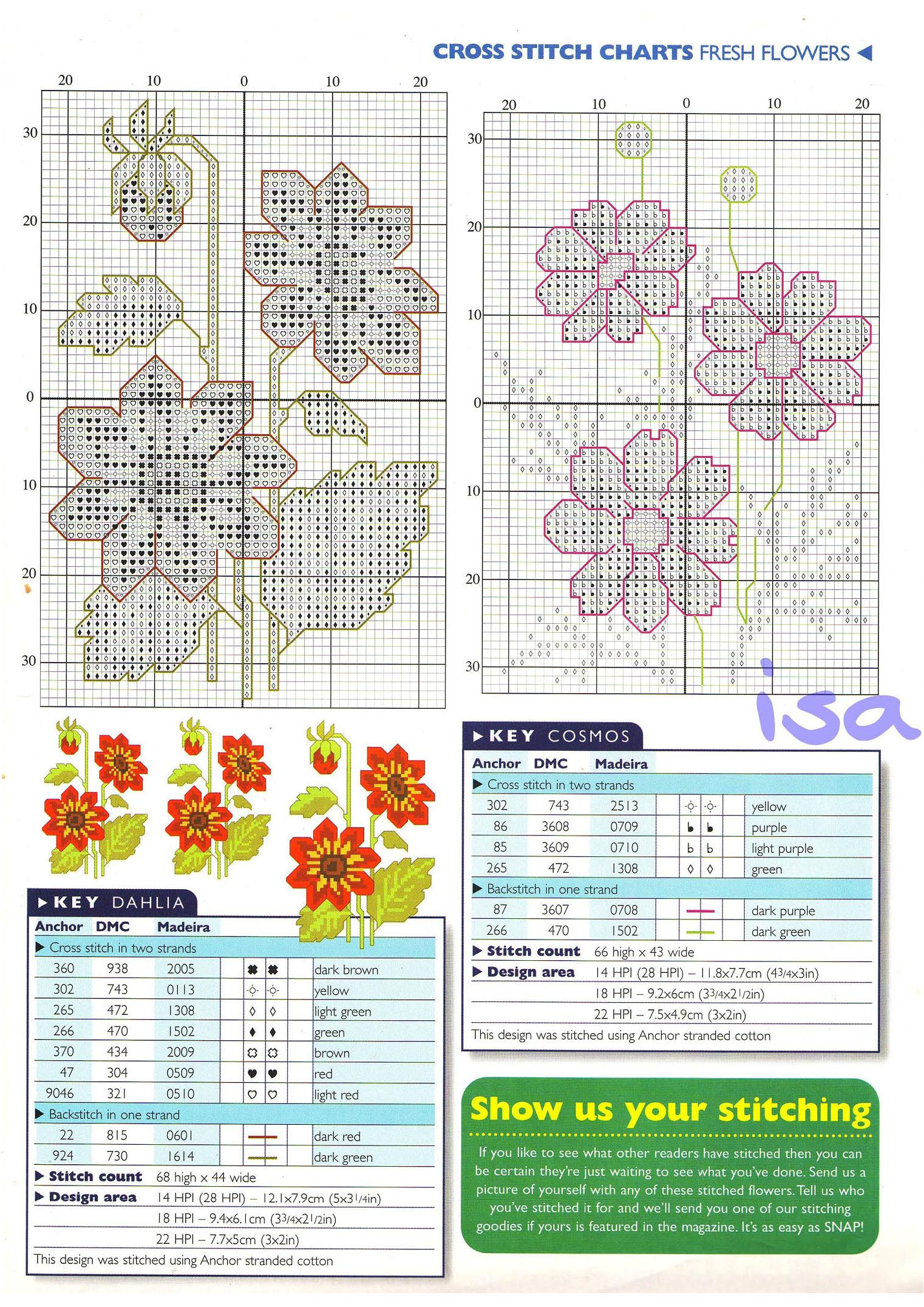 Dahlia and Cosmos flowers cross stitch pattern