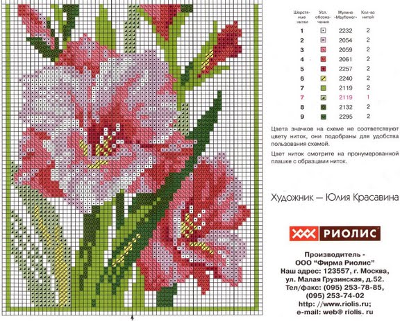 Flower Gladiolo cross stitch pattern (2)