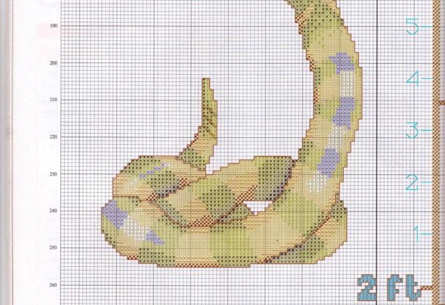 Height chart with jungle animals (5)