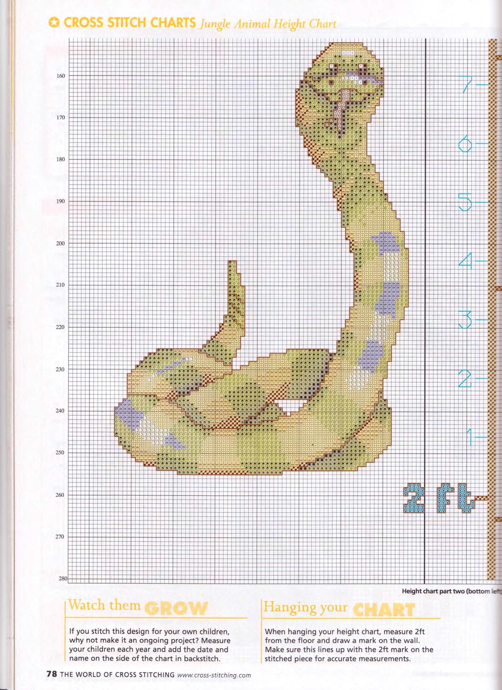 Height chart with jungle animals (5)