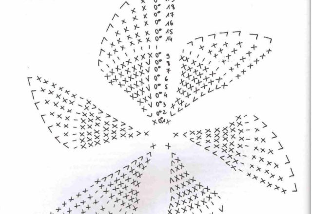 Mandarin amigurumi pattern 1 (5)