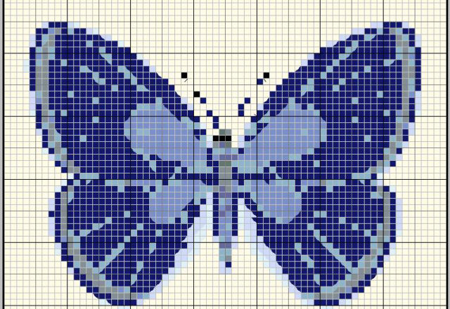 Nice butterfly blue and light blue