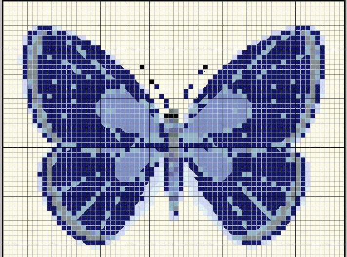 Nice butterfly blue and light blue