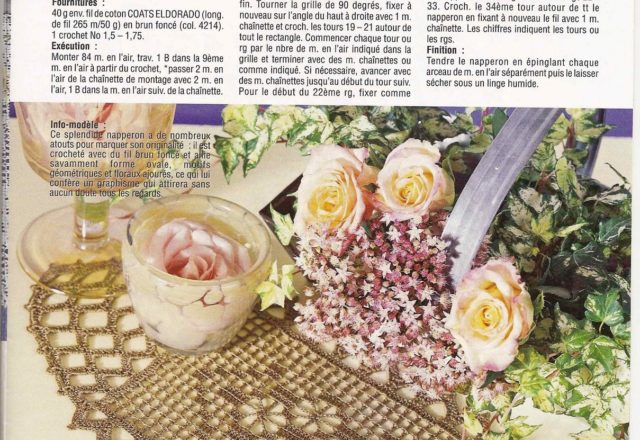 Oval doily filet and crochet (1)