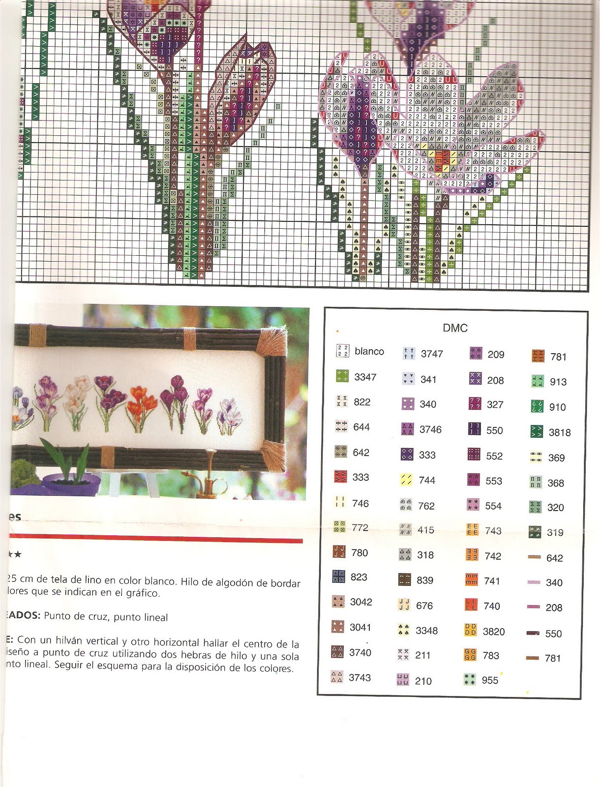 Picture of beautiful flower cross stitch pattern (1)