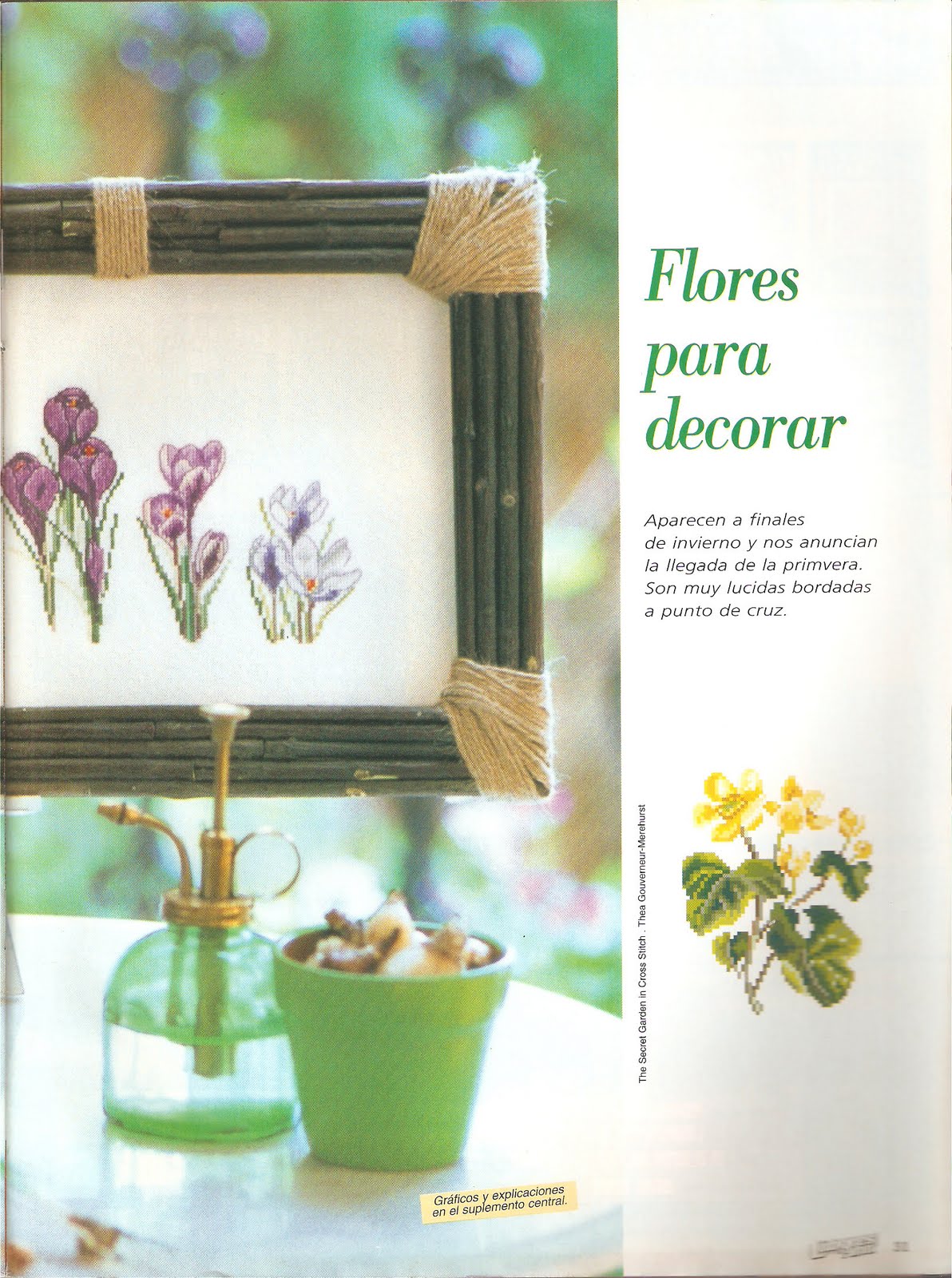 Picture of beautiful flower cross stitch pattern (3)