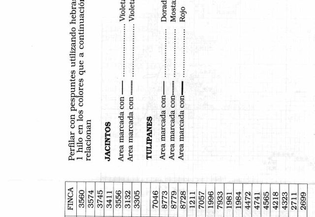 Picture of tulips cross stitch pattern (4)