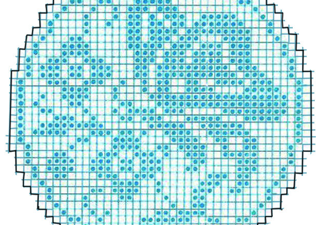 Round butterfly doily filet