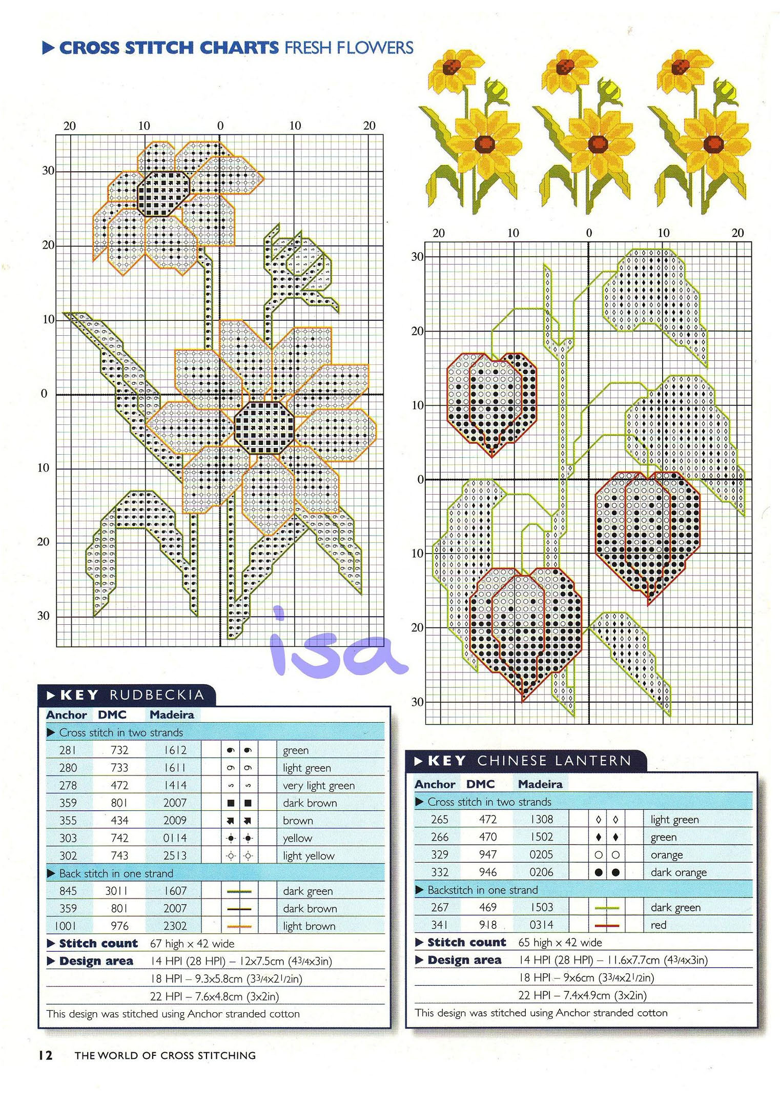 Rudbeckia and Chinese lantern cross stitch pattern