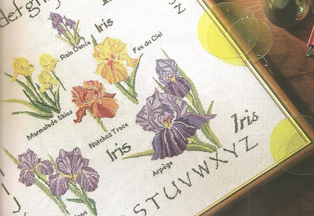 Sampler cross-stitch with beautiful flowers iris (2)