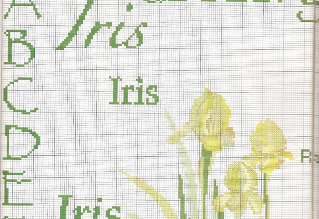 Sampler cross-stitch with beautiful flowers iris (3)