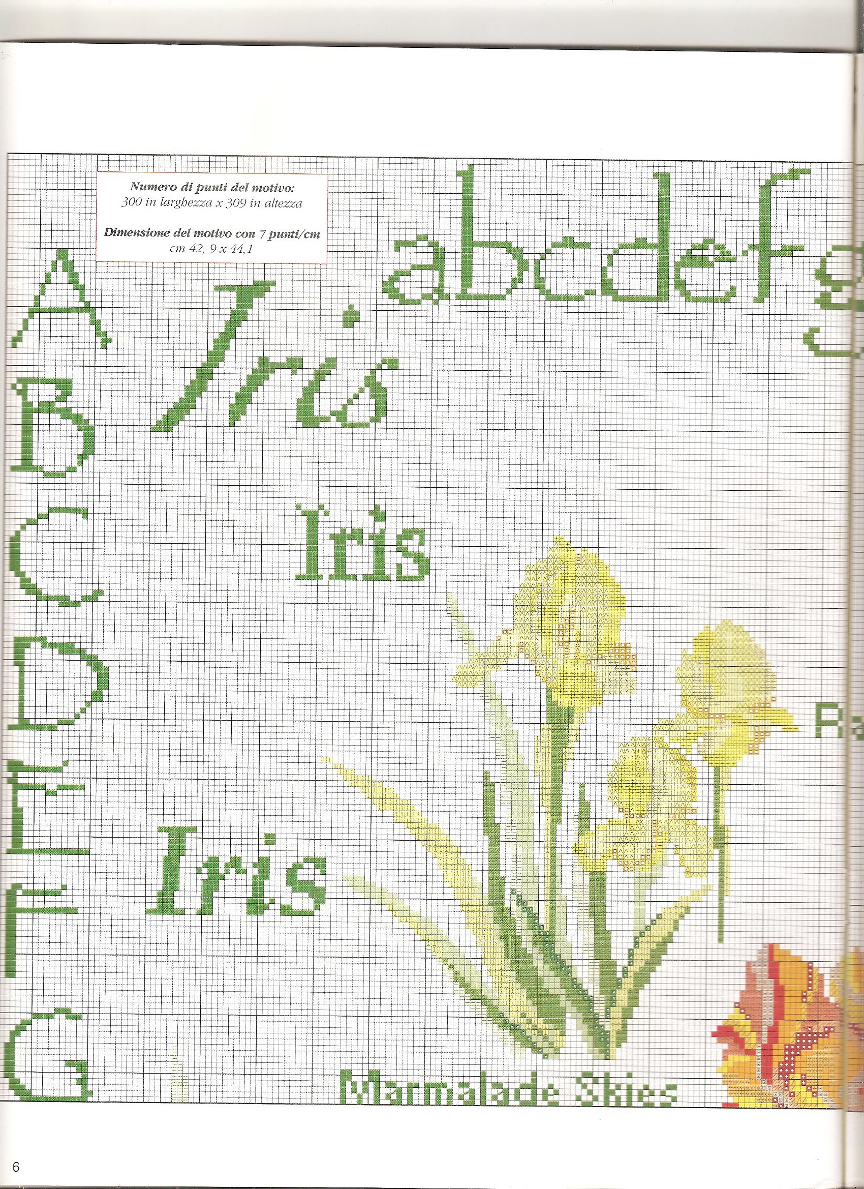 Sampler cross-stitch with beautiful flowers iris (3)