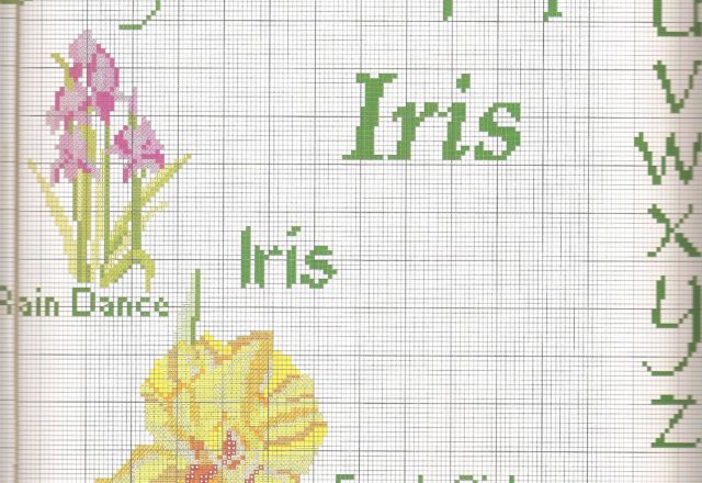 Sampler cross-stitch with beautiful flowers iris (4)