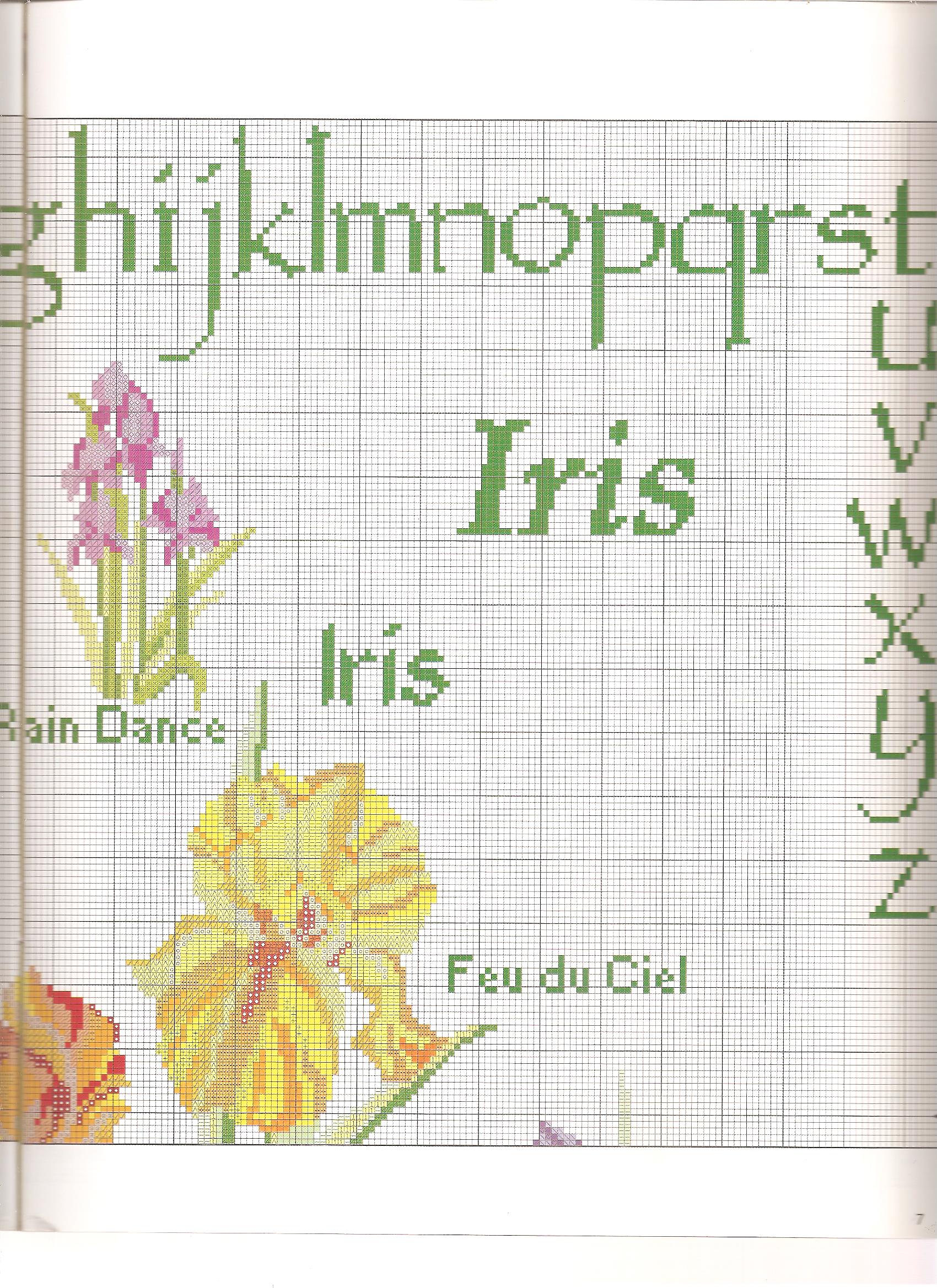 Sampler cross-stitch with beautiful flowers iris (4)
