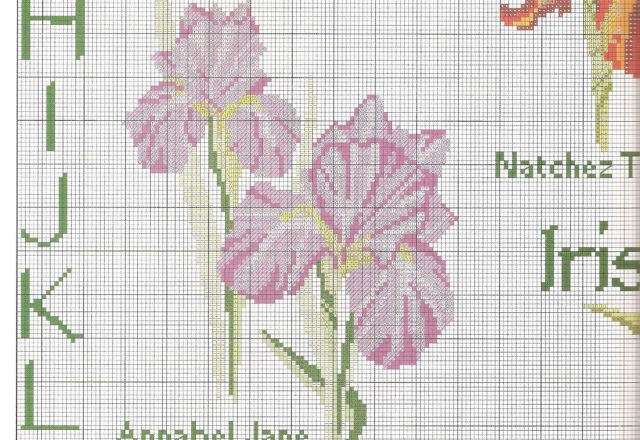 Sampler cross-stitch with beautiful flowers iris (5)