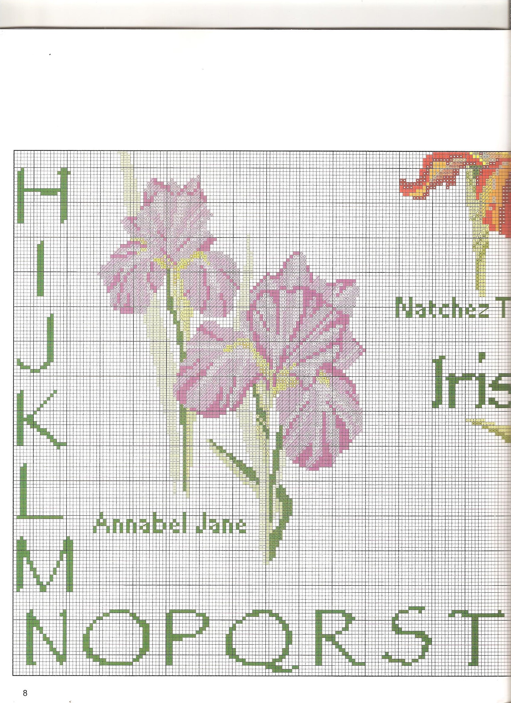 Sampler cross-stitch with beautiful flowers iris (5)