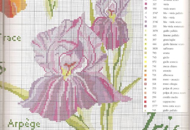 Sampler cross-stitch with beautiful flowers iris (6)