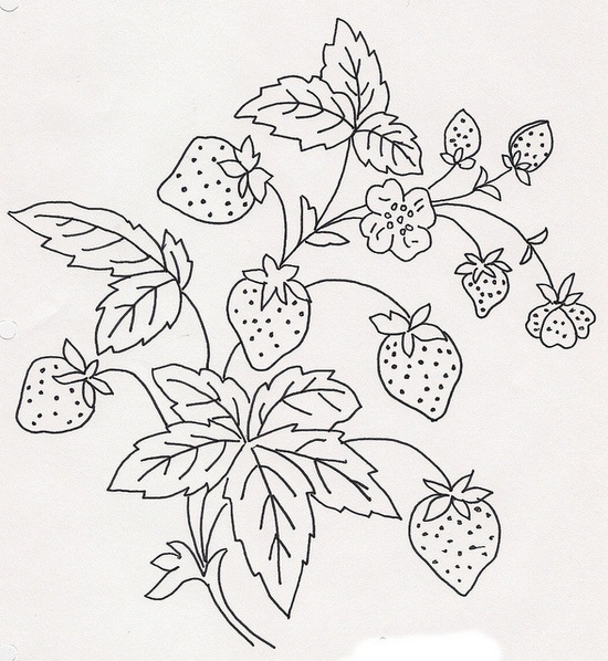 Strawberries embroidery design