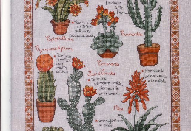 Succulents with description cross stitch pattern (1)