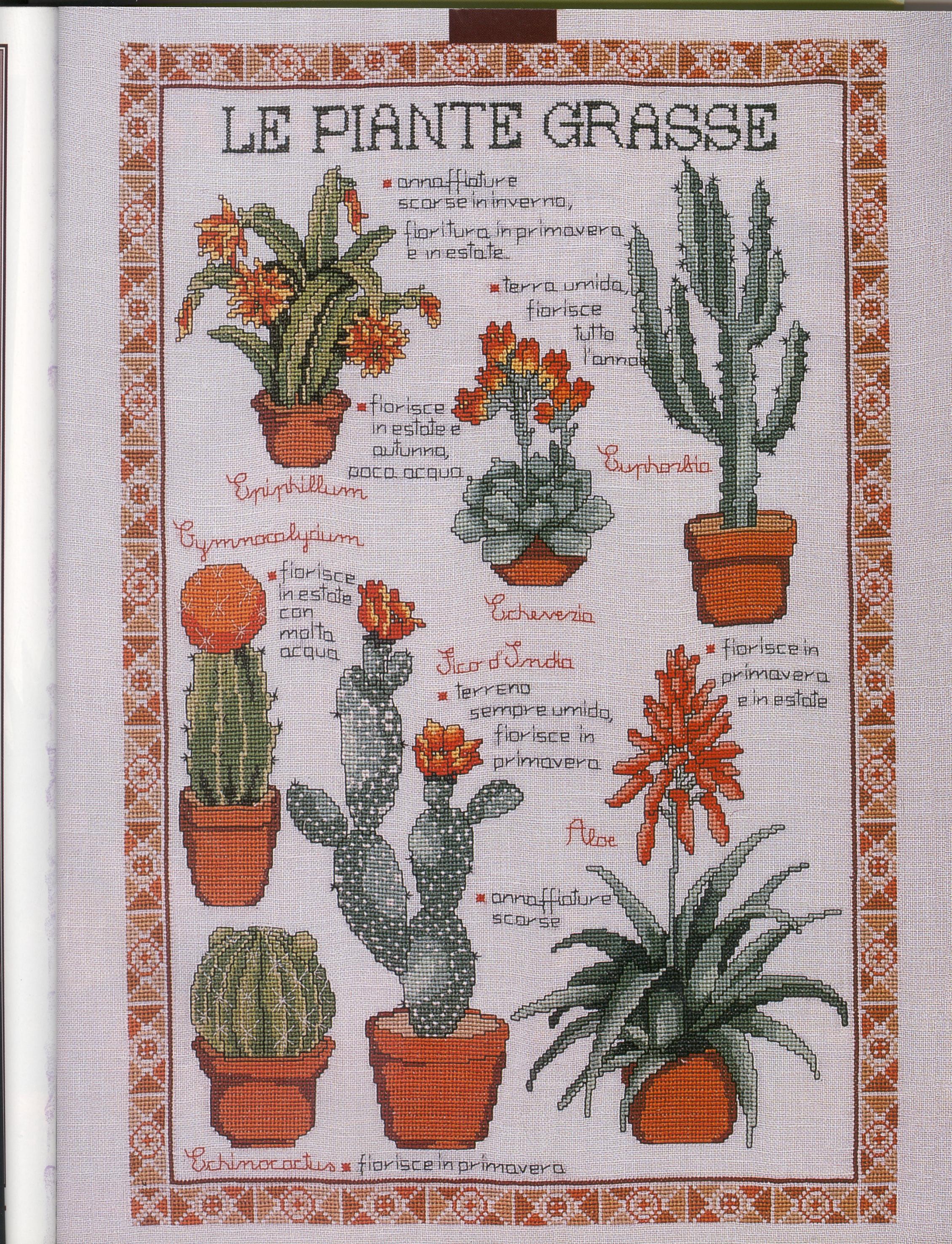 Succulents with description cross stitch pattern (1)