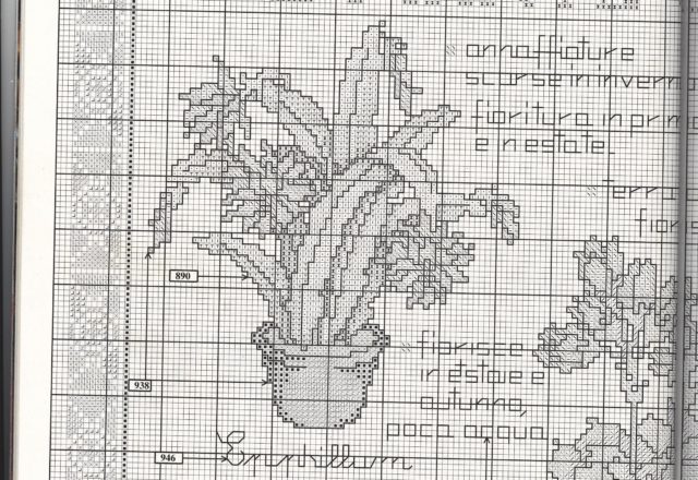 Succulents with description cross stitch pattern (5)