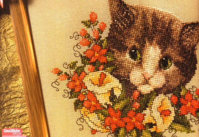 Tender cat face among the flowers (1)