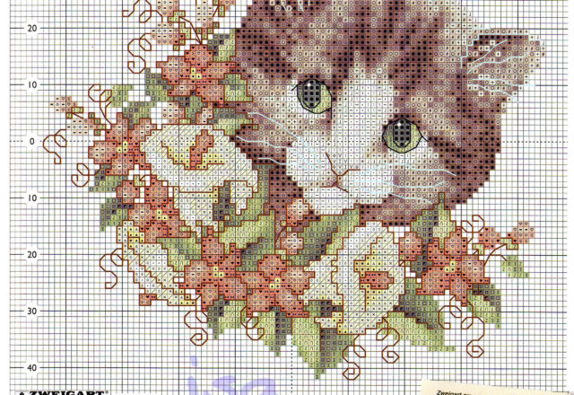 Tender cat face among the flowers (2)