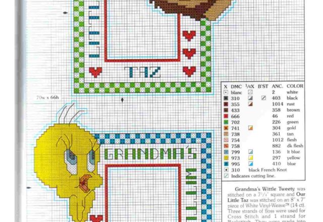 Two photo frames with Tweety andTaz