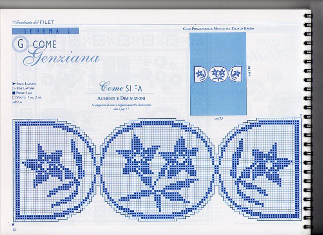 border filet gentians