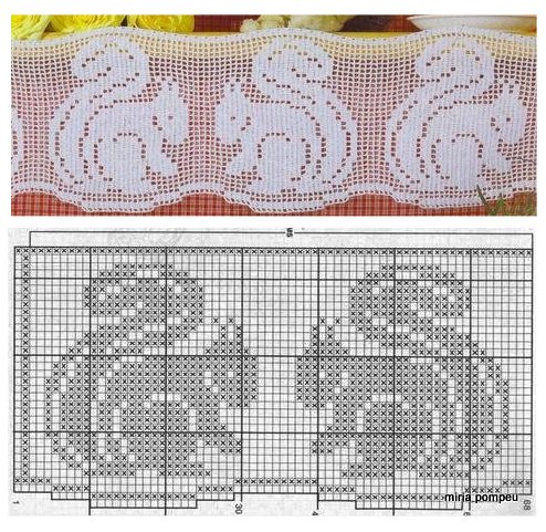 border filet squirrels