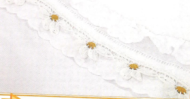 crochet beautiful daisy border (1)