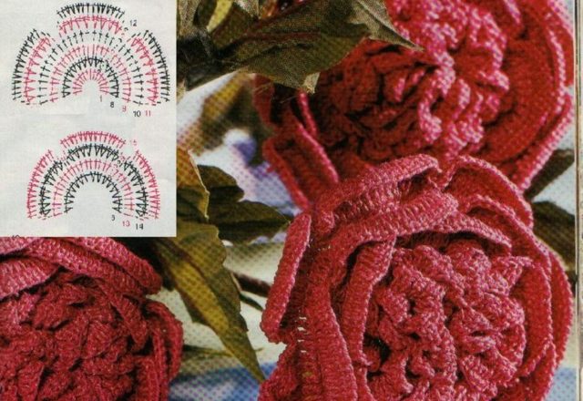 crochet flower camellia