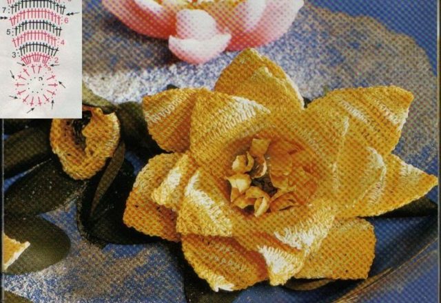 crochet flower lotus