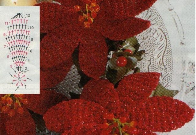 crochet flower poinsettia (1)
