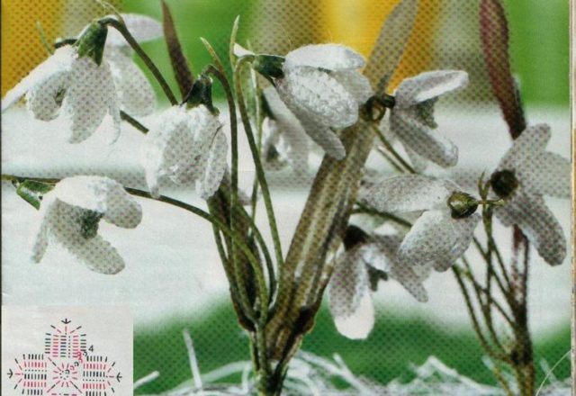 crochet flower snowdrop