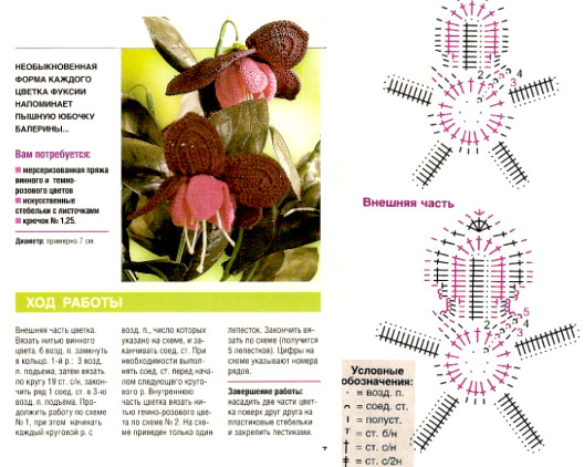 crochet fuchsia flowers